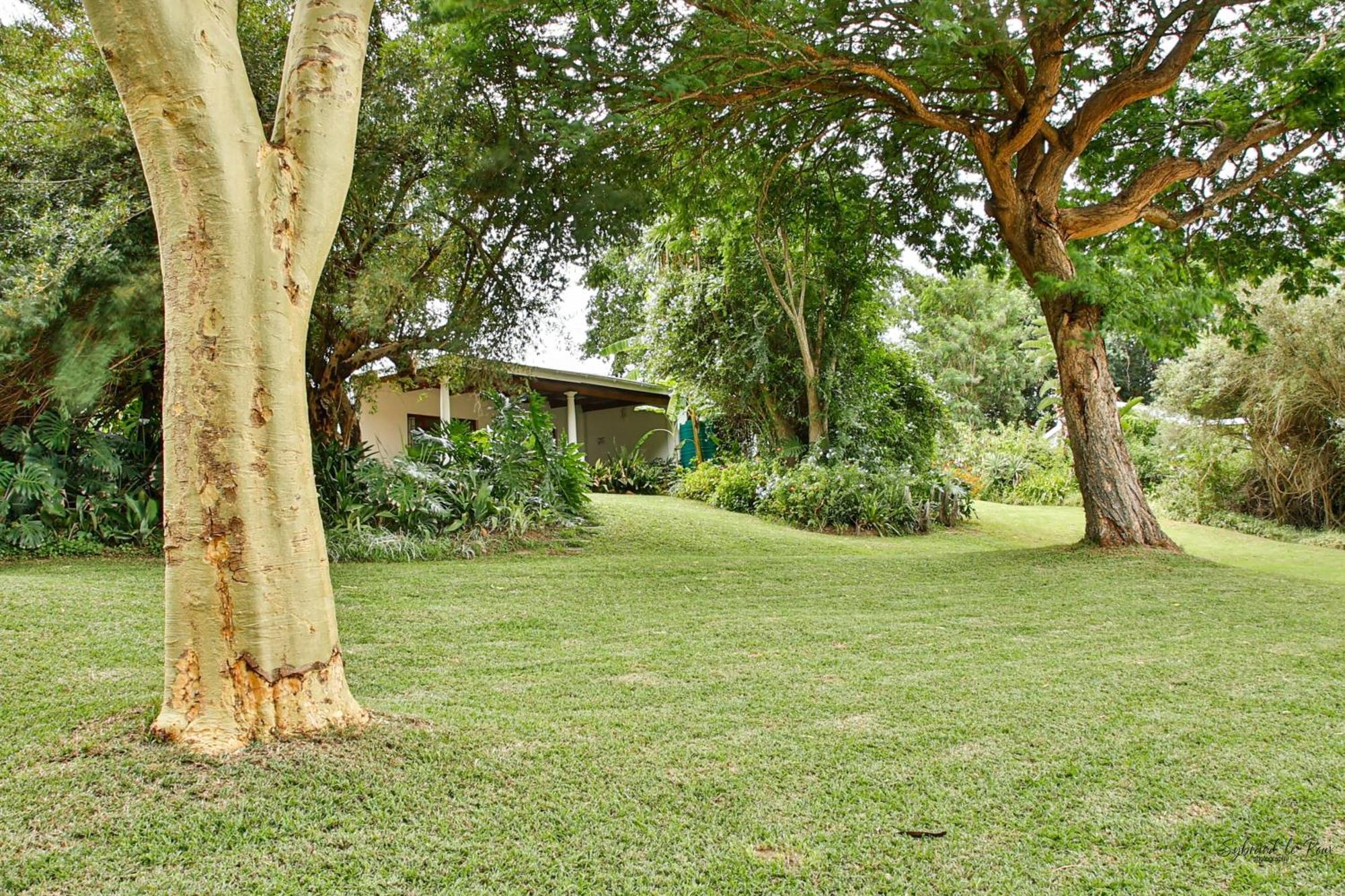 Ndlovu Addo River Lodge Kirkwood Eksteriør billede
